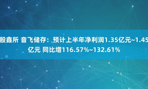 股鑫所 音飞储存：预计上半年净利润1.35亿元~1.45亿元 同比增116.57%~132.61%